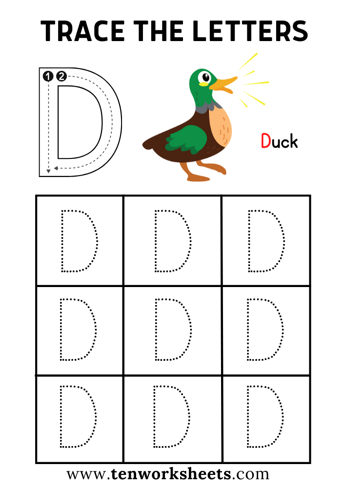 Tracing Uppercase Alphabet Letter D Worksheet PDF for Kindergarten ...